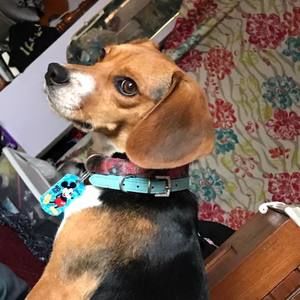 Meet your Posher, Shawna